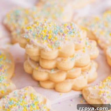 Classic Butter Sugar Cookies 10 Butter Sugar Cookies with icing