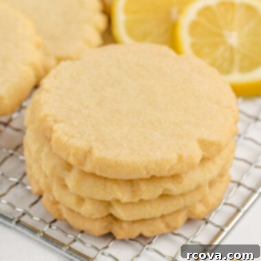 Sunshine Lemon Pudding Cookies 7 Delicious Lemon Pudding Sugar Cookies