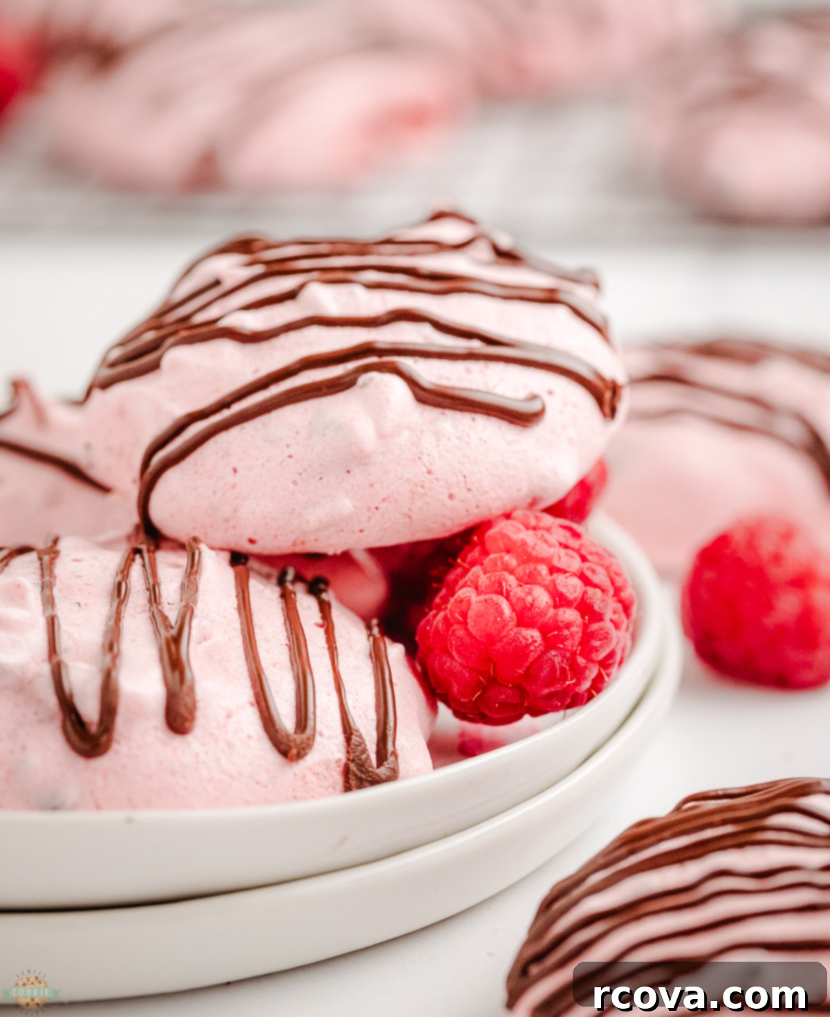 Delicate Raspberry Meringues 6 pink meringue cookies made with raspberry jello