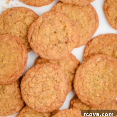 Tropical Toasted Coconut Treats 4 toasted coconut cookies with walnuts
