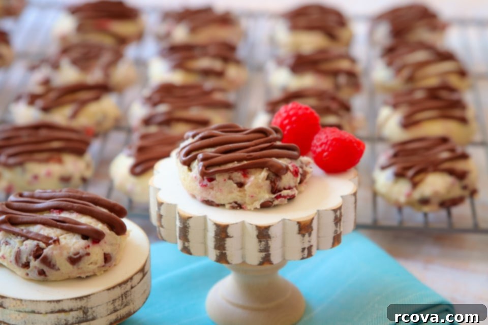 Raspberry Kissed Chocolate Cheesecake Bites 10 Close-up of a perfectly baked Chocolate Raspberry Cheesecake Cookie