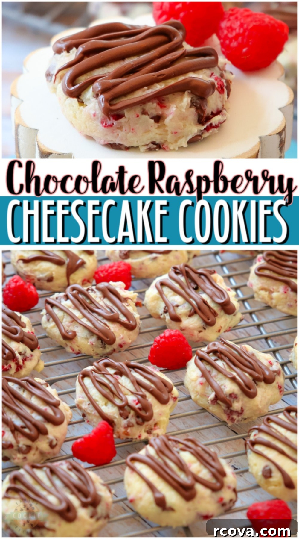 Raspberry Kissed Chocolate Cheesecake Bites 14 Chocolate Raspberry Cheesecake Cookies are indulgent cookies made with cream cheese, chocolate chips & raspberries! Soft cookies with bright raspberry cheesecake flavor that everyone loves! Perfect for sharing and parties.