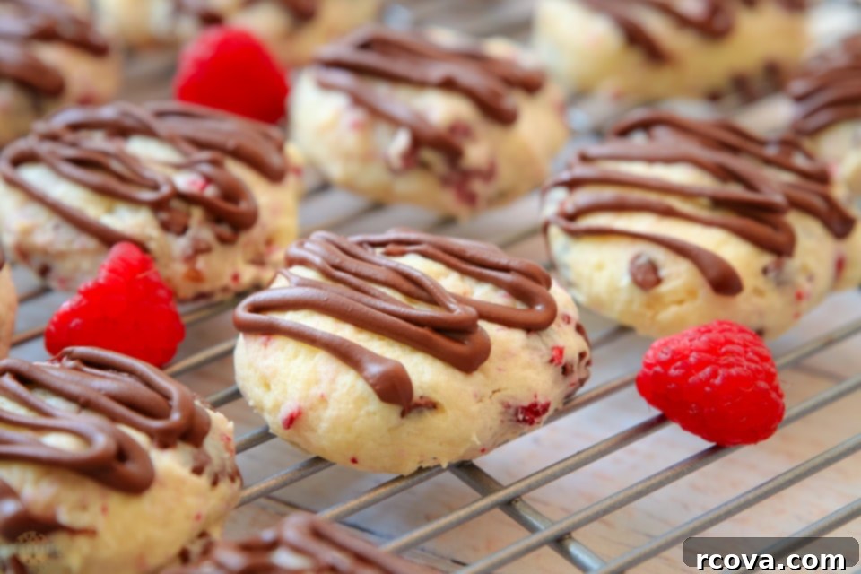 Raspberry Kissed Chocolate Cheesecake Bites 4 Close up of chocolate chips and dehydrated raspberries in a bowl, ready to be added to cookie dough