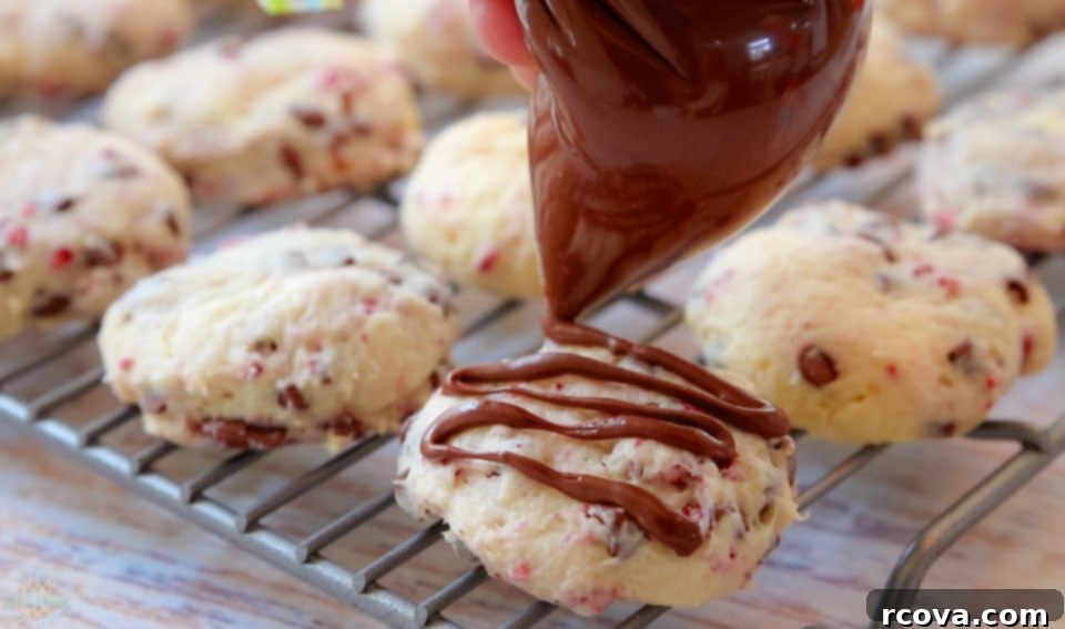 Raspberry Kissed Chocolate Cheesecake Bites 6 Folding in chocolate chips and dehydrated raspberries into cookie dough