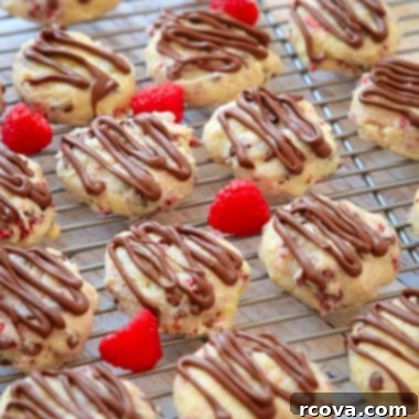 Raspberry Kissed Chocolate Cheesecake Bites 8 How to make Chocolate Raspberry Cheesecake Cookies
