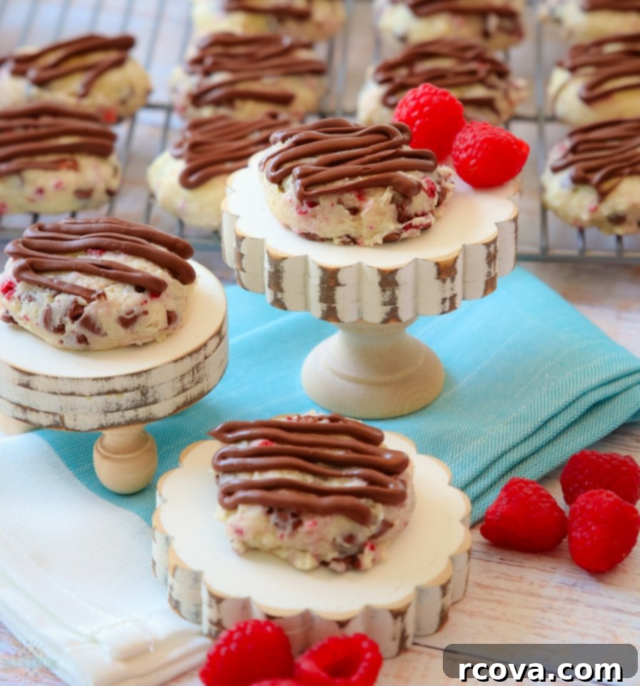 Raspberry Kissed Chocolate Cheesecake Bites 9 Closeup of three Chocolate Raspberry Cheesecake Cookies on a white plate