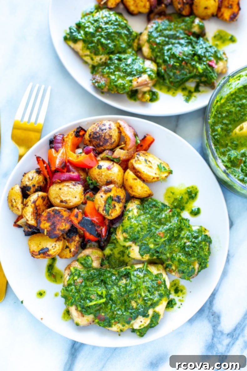 Prep-Ahead & Relax: Easy Camping Meals for Your Vacation 9 Chimichurri Chicken