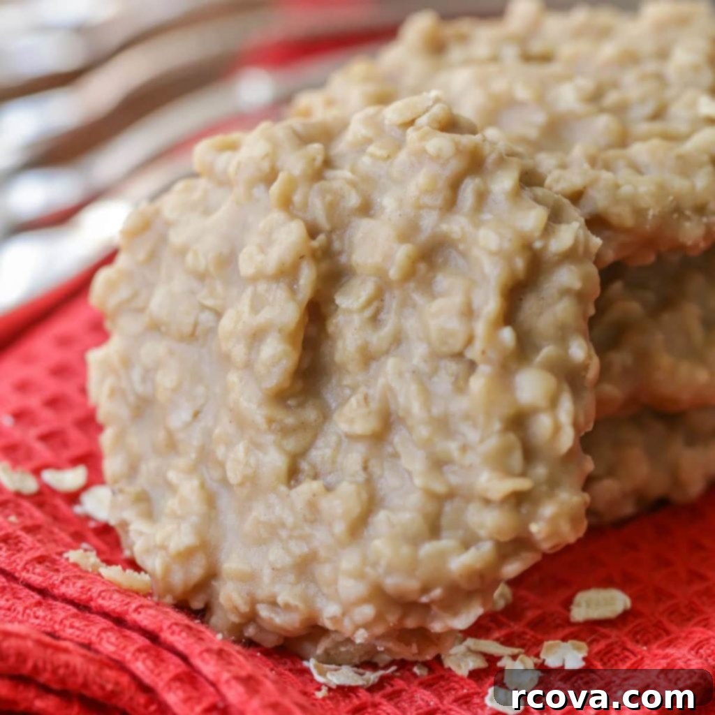 Effortless No-Bake Cookie Delights 11 A collection of easy No-Bake Peanut Butter Cookies.
