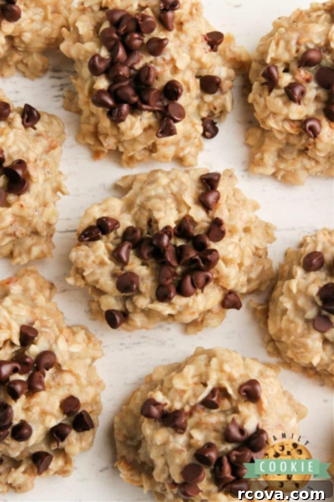 Effortless No-Bake Cookie Delights 12 Banana Oatmeal No-Bake Cookies topped with chocolate chips.