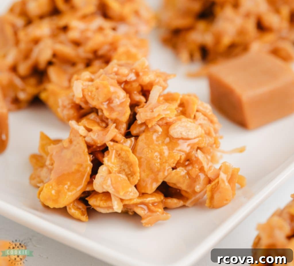 Effortless No-Bake Cookie Delights 16 No-Bake Caramel Crunch Cookies, sweet and crispy.