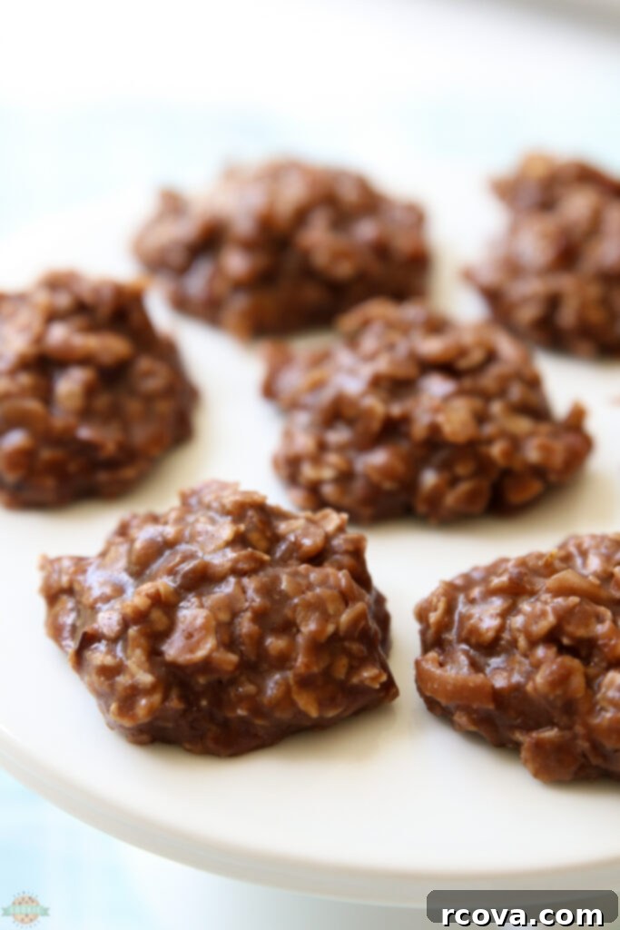 Effortless No-Bake Cookie Delights 26 No-bake cookie recipe with coconut, made without peanut butter.