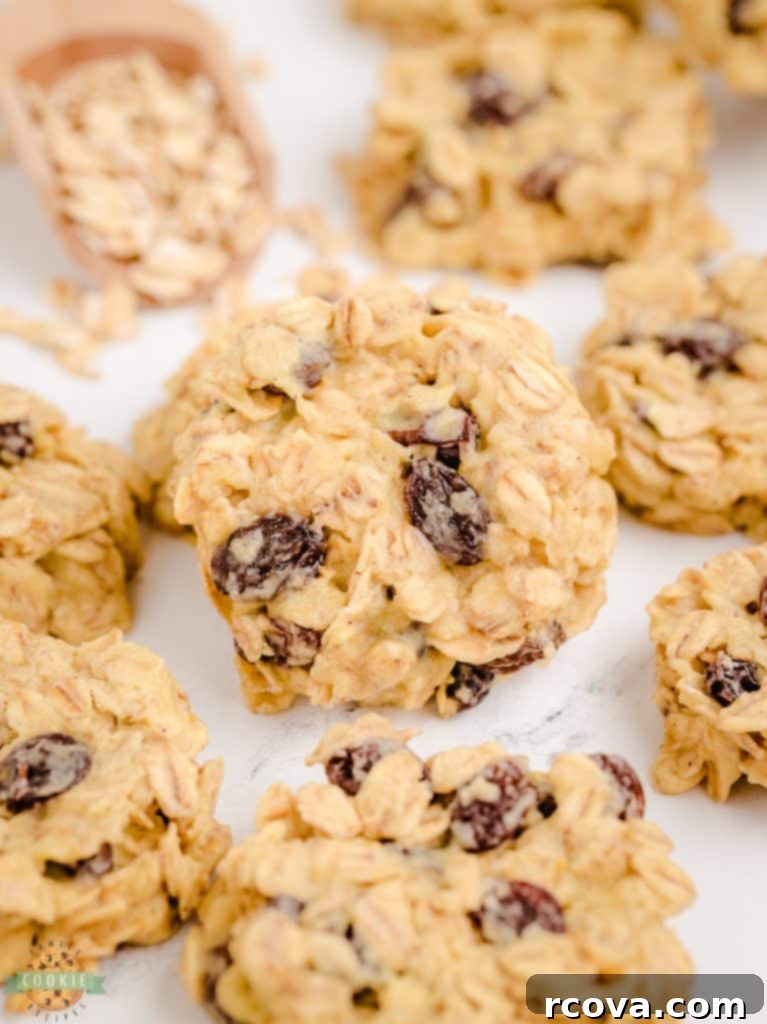 Effortless No-Bake Cookie Delights 28 No-Bake Oatmeal Raisin Cookies, a classic flavor without the oven.