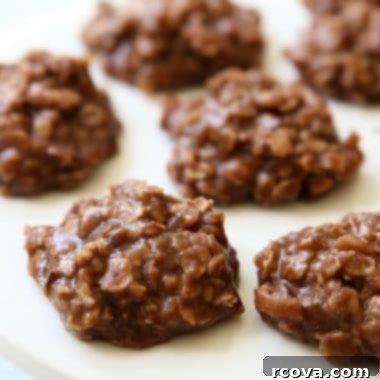 Effortless No-Bake Cookie Delights 4 Classic chocolate oatmeal no-bake cookies ready to be enjoyed.