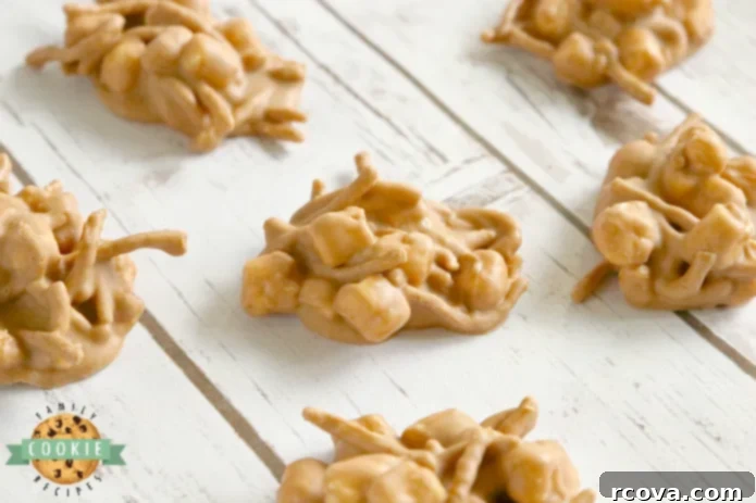Effortless No-Bake Cookie Delights 33 Marshmallow Peanut Butter No-Bake Cookies made with only 4 ingredients: marshmallows, peanut butter, butterscotch chips, and chow mein noodles.