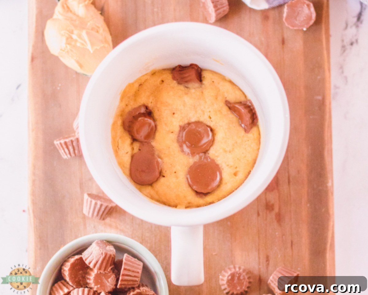 Effortless No-Bake Cookie Delights 38 A delicious Peanut Butter Cookie in a Mug, a single-serving treat ready in minutes.