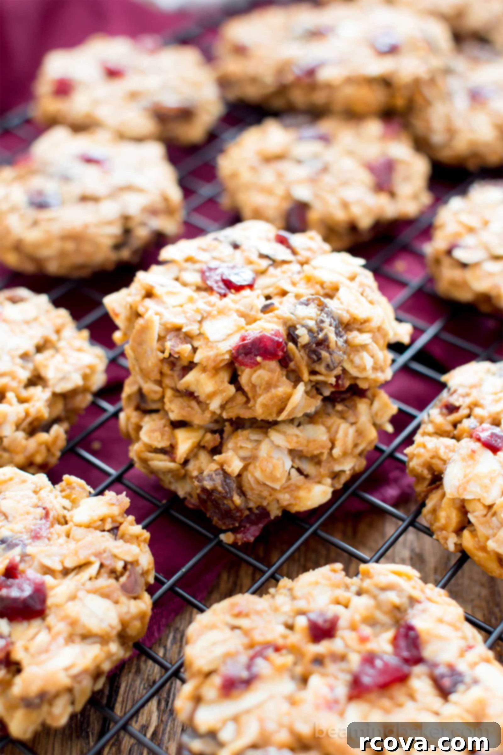 Effortless No-Bake Cookie Delights 42 No-Bake Gluten-Free Peanut Butter Fruit & Nut Cookies: an easy, one-bowl recipe packed with dried fruits and nuts, vegan and dairy-free.