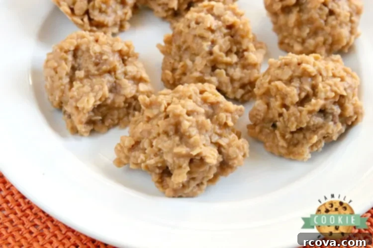Effortless No-Bake Cookie Delights 46 No-Bake Pumpkin Cookies, full of oats and pumpkin flavor, perfect for fall.