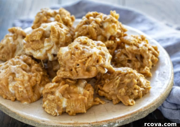 Effortless No-Bake Cookie Delights 10 A variety of delicious No-Bake Cookie Recipes, perfect for any time of year.