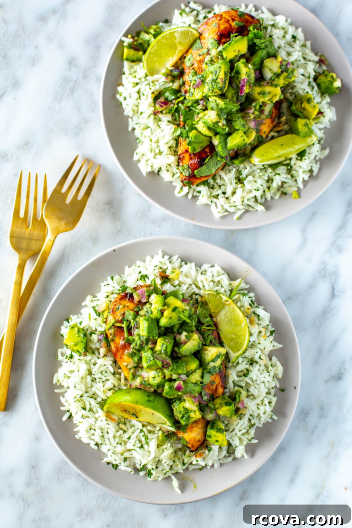 Zesty Cilantro Lime Chicken and Rice 2 Two plates generously filled with succulent cilantro lime chicken and fluffy rice, perfectly garnished with fresh avocado salsa and a sprinkle of vibrant cilantro.