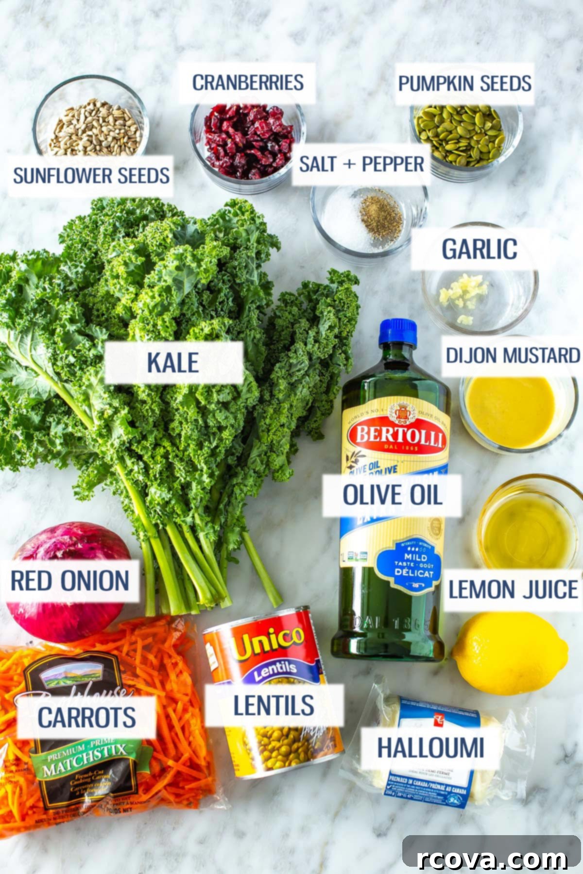 Viral Kale Salad Sensation 4 Ingredients laid out for a hearty kale salad: vibrant kale, savory halloumi, earthy lentils, crisp carrots, sharp red onion, sweet dried cranberries, crunchy sunflower and pumpkin seeds, and fresh dressing components like olive oil, lemon, honey, Dijon mustard, garlic, salt, and pepper.