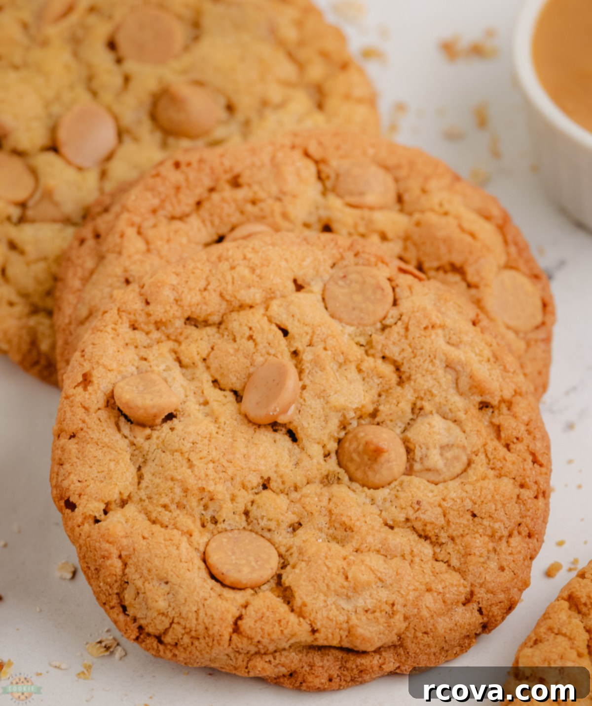 Maple Peanut Butter Delights 2 maple peanut butter cookies