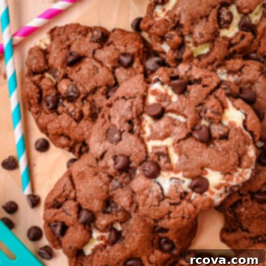 Lush Chocolate Cream Cheese Cookies 5 Mouth-watering cream cheese and chocolate cookies, a perfect blend of two desserts