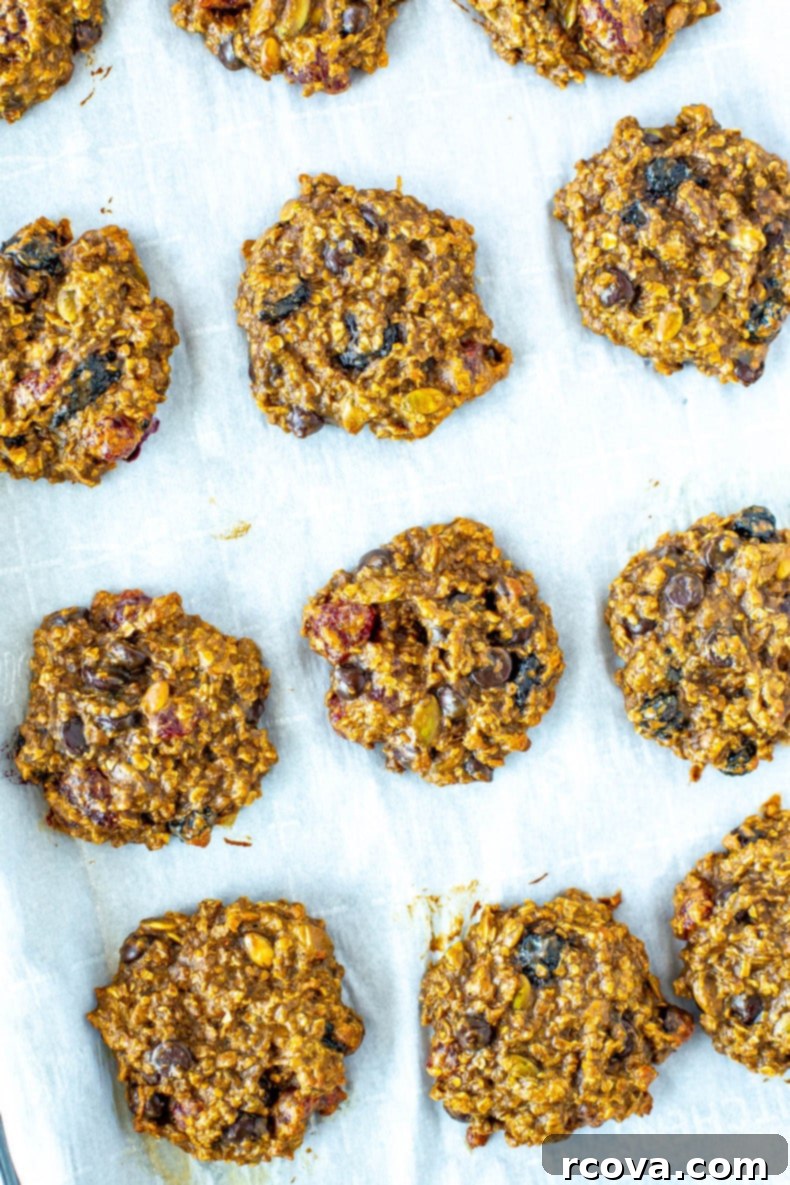 15 Power-Packed Protein Snacks 11 Pile of banana oatmeal breakfast cookies with chocolate chips, showcasing a high-protein breakfast option.
