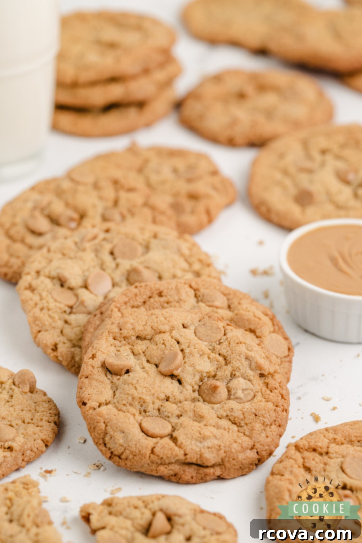 Crispy Peanut Butter Perfection 9 Crunchy Peanut Butter Cookies made with oats and Grape Nuts for extra texture! A unique twist on a classic, chewy and crispy in every bite.