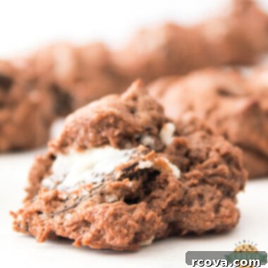 Chocolate Oreo Cheesecake Cookie Dream 6 img 56559 5
