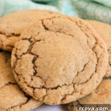 Aromatic Cinnamon Oat Delights 5 Deliciously Soft & Chewy Cinnamon Oatmeal Cookies