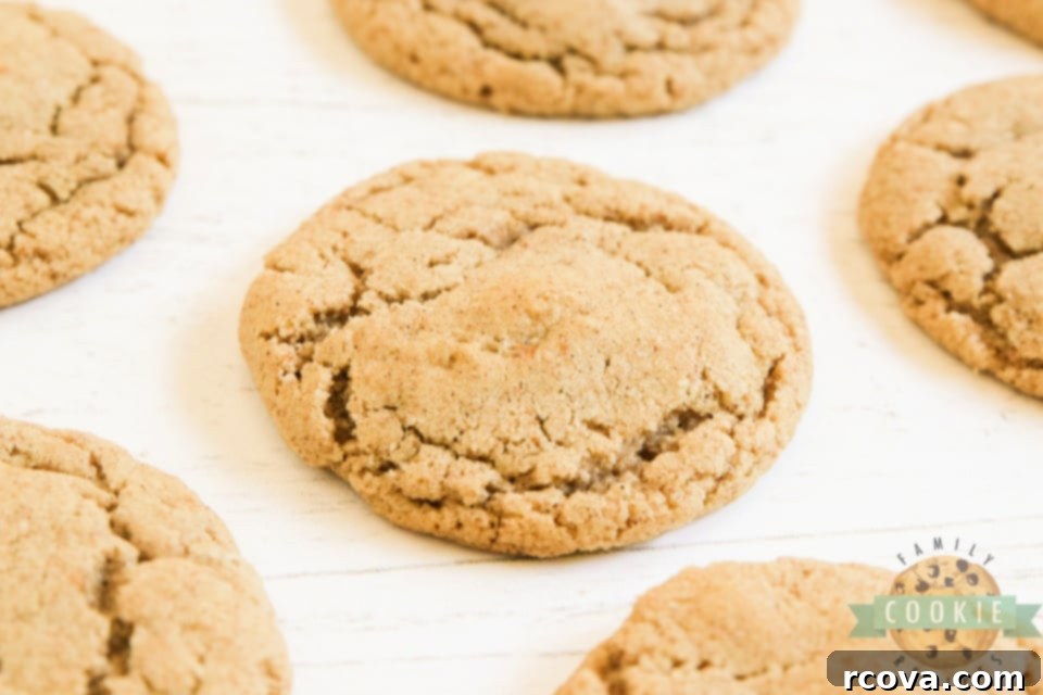 Aromatic Cinnamon Oat Delights 6 Freshly baked oatmeal cookies, golden brown and perfectly spiced with cinnamon.