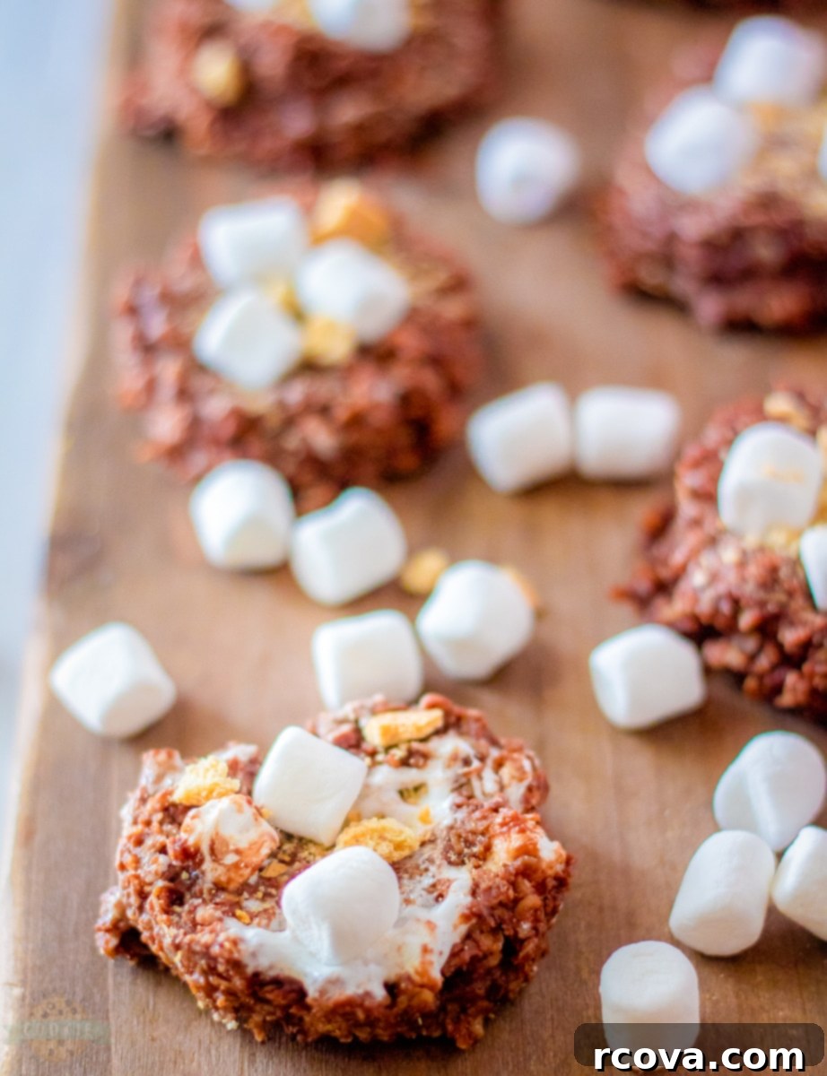 Campfire-Free S'mores Cookies 2 A stack of delicious No-Bake S'mores Cookies topped with mini marshmallows and graham cracker crumbs on a white surface.