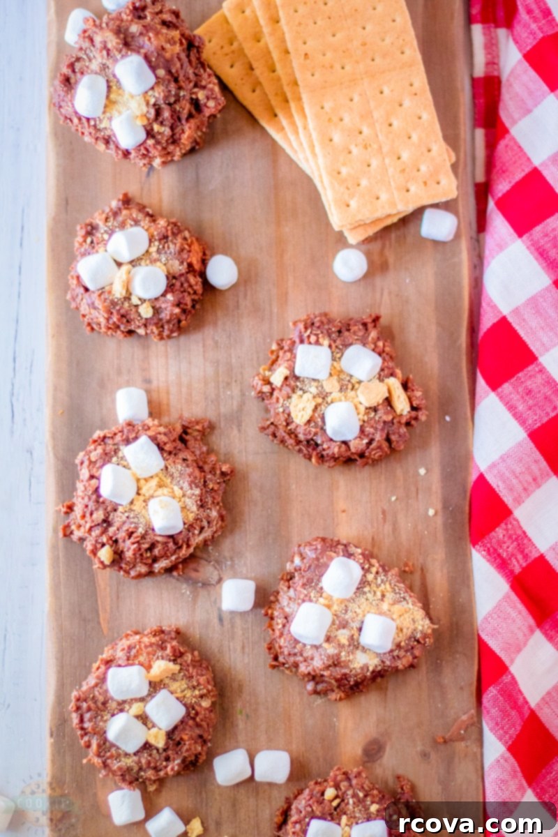 Campfire-Free S'mores Cookies 4 Ingredients for No-Bake S'mores Cookies laid out, including oats, marshmallows, cocoa powder, and peanut butter.