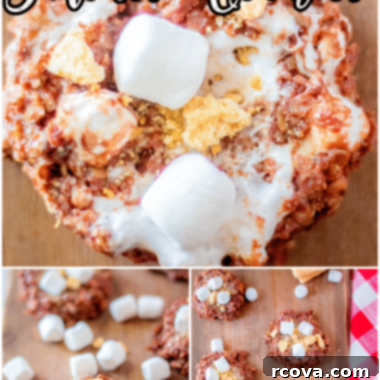 Campfire-Free S'mores Cookies 7 img 5724 6