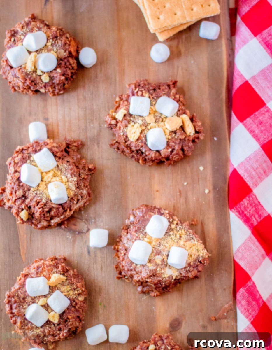 Campfire-Free S'mores Cookies 8 A close-up shot of a single No-Bake S'mores Cookie, showcasing its rich texture and toppings.