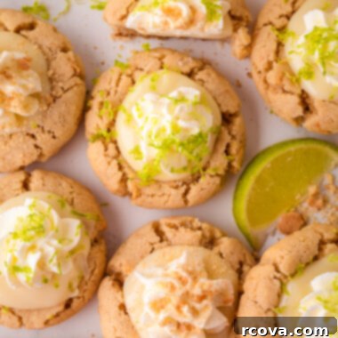 Tangy Key Lime Delights 5 bakery style key lime cookies with whipped cream and lime zest