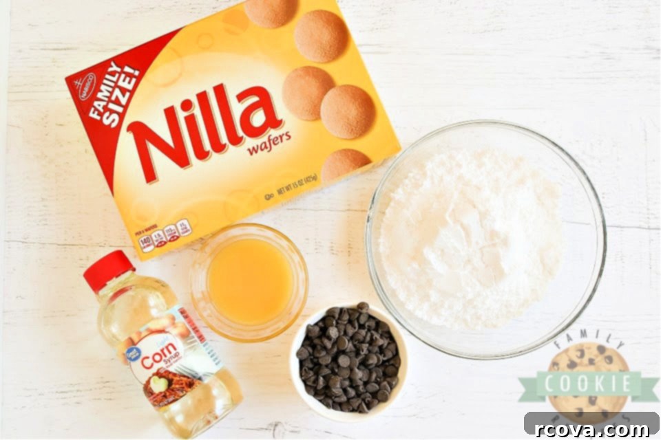 Effortless Chocolate Orange No-Bake Delights 4 Essential ingredients laid out for crafting delectable No Bake Chocolate Orange Cookies: semi-sweet chocolate chips, powdered sugar, vanilla wafers, orange juice, and light corn syrup.