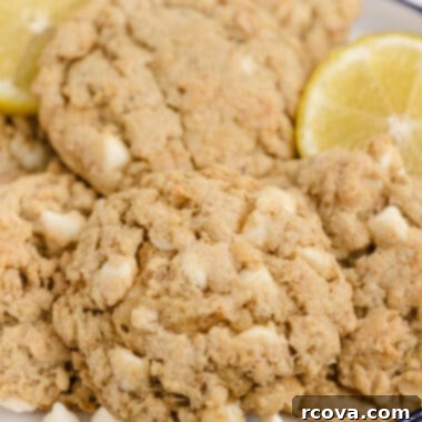 Zesty Lemon Oat Cookies 13 img 5759 12