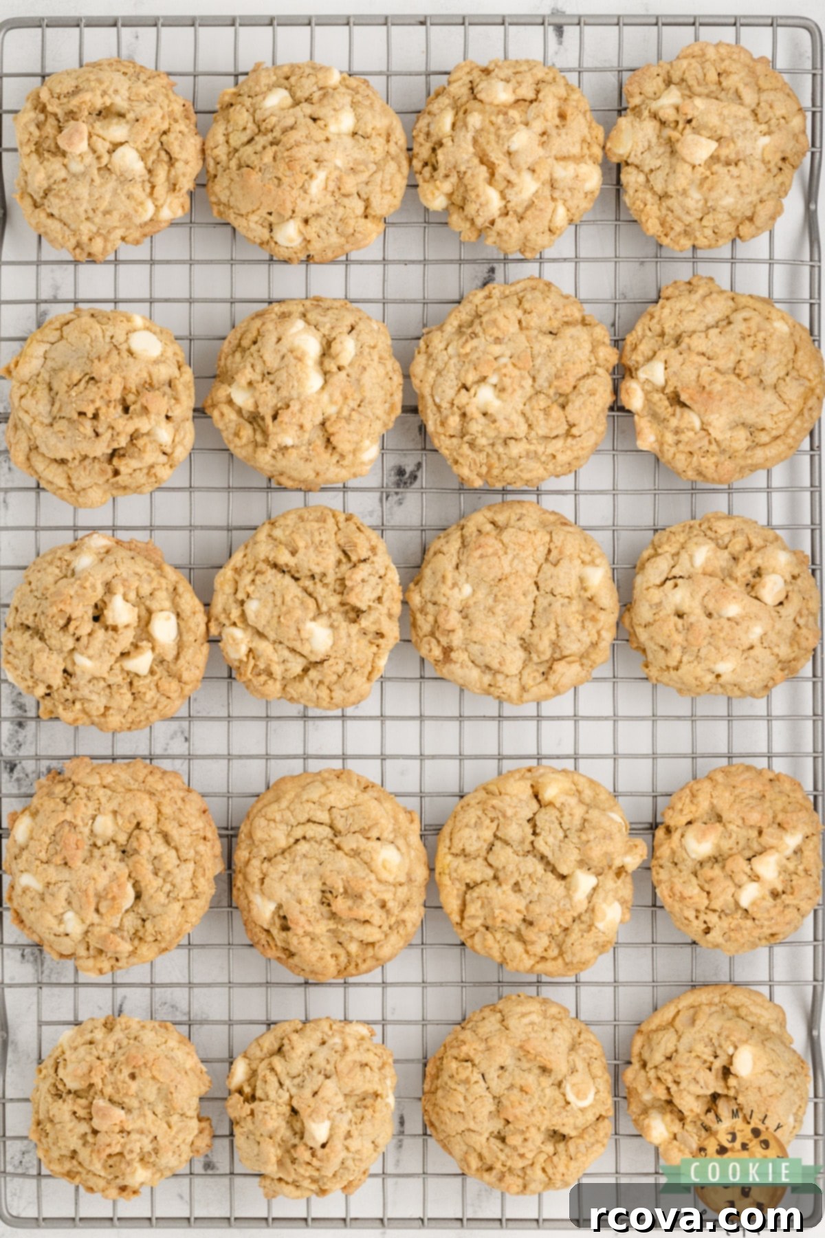 Zesty Lemon Oat Cookies 14 Oatmeal cookies with lemon pudding mix and white chocolate chips.