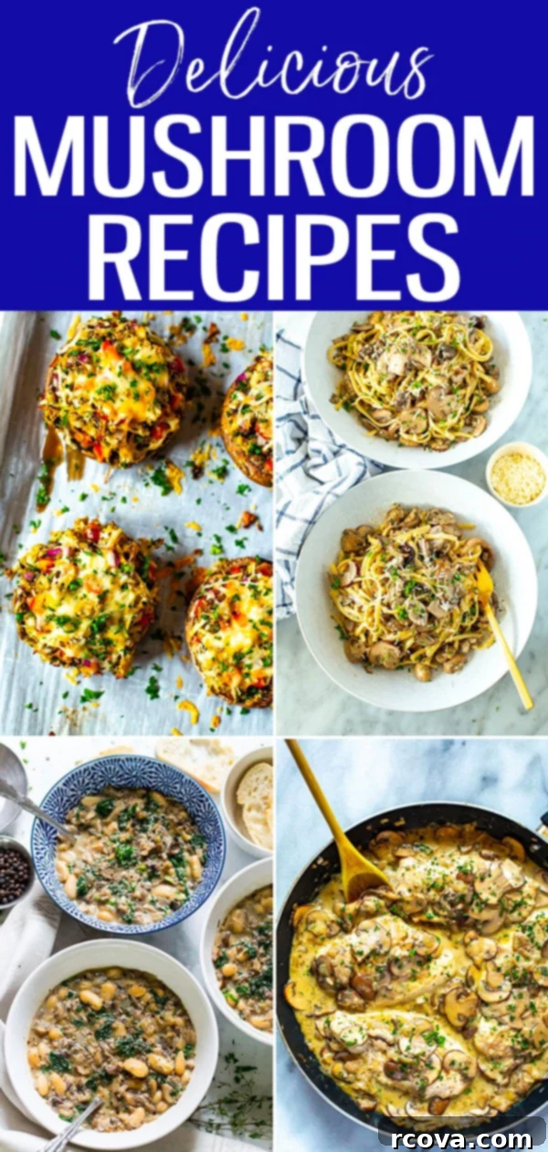 Deliciously Healthy Mushroom Recipes 27 Collection of healthy and delicious mushroom recipes including stuffed mushrooms, creamy pasta, stir-fries, and soups. Perfect for any meal! #mushrooms #healthyrecipes