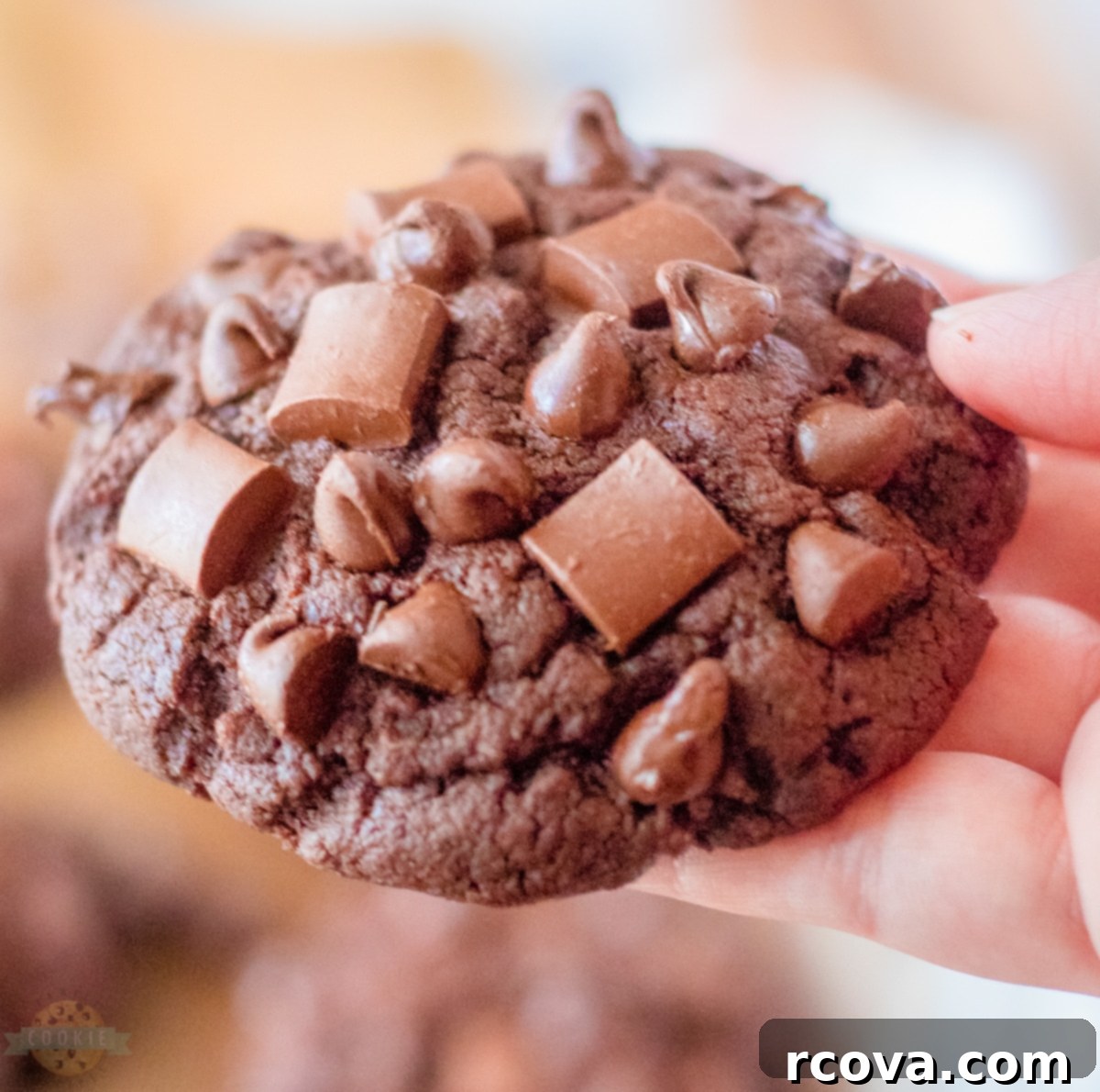 Ultimate Brownie Cookies 3 A beautifully arranged stack of freshly baked chocolate brownie cookies, showcasing their inviting texture and generous chocolate chip content.