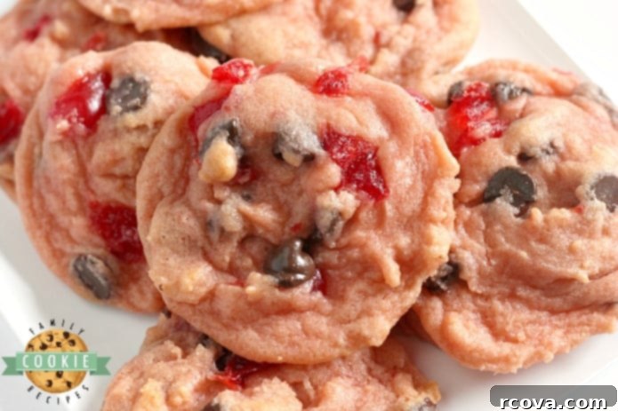 Decadent Cherry Chocolate Chip Cookies 15 A beautifully arranged plate of homemade Cherry Chocolate Chip Cookies, with a soft focus background, inviting a bite.