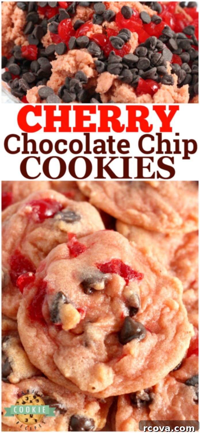 Decadent Cherry Chocolate Chip Cookies 16 A close-up of a single Cherry Chocolate Chip Cookie, showing its soft interior and abundant mix-ins, highlighting the cherry and chocolate.