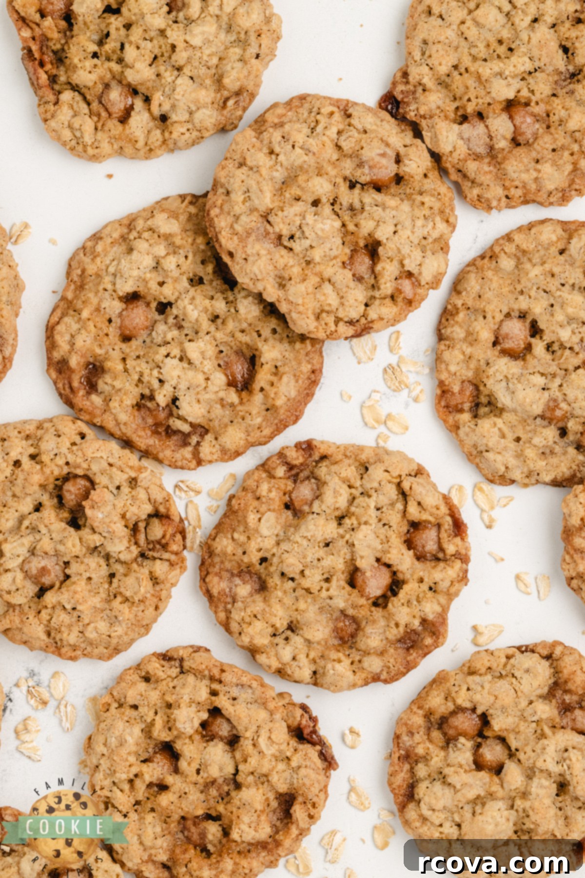 Golden Oat & Caramel Goodness 5 Close-up of baked Oatmeal cookies generously studded with Kraft Caramel Bits, showcasing their irresistible chewiness.