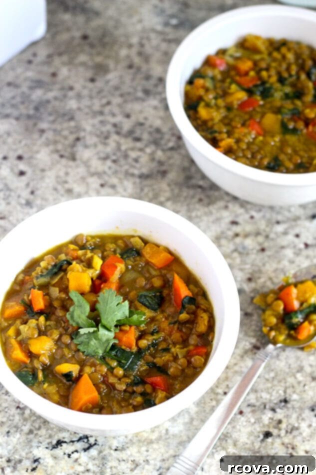 Comforting Vegan Curried Butternut Squash and Lentil Soup 2 Curried Butternut Squash and Lentil Soup