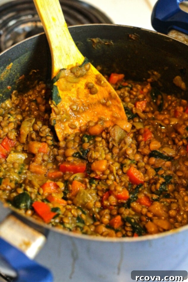 Comforting Vegan Curried Butternut Squash and Lentil Soup 5 Curried Butternut Squash and Lentil Soup