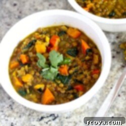 Comforting Vegan Curried Butternut Squash and Lentil Soup 8 Curried Butternut Squash and Lentil Soup