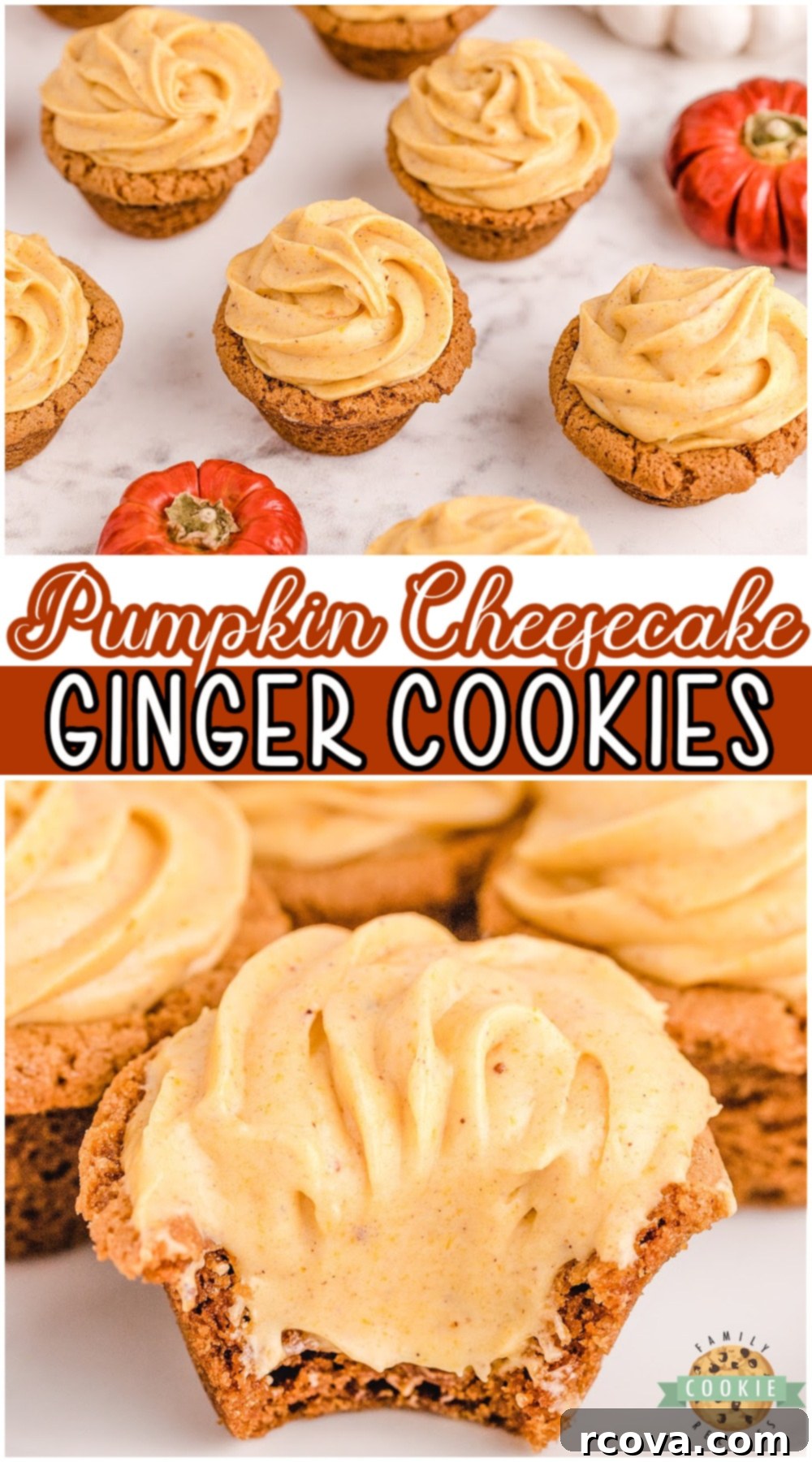 Spiced Pumpkin Cheesecake Ginger Delights 11 Ginger Cookies filled with a delicious spiced Pumpkin Cheesecake perfect for Fall! Lovely pumpkin cheesecake ginger cookie recipe that everyone loves! #cookies #ginger #pumpkin #cheesecake #easyrecipe from FAMILY COOKIE RECIPES