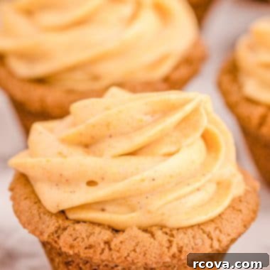 Spiced Pumpkin Cheesecake Ginger Delights 7 img 5994 6