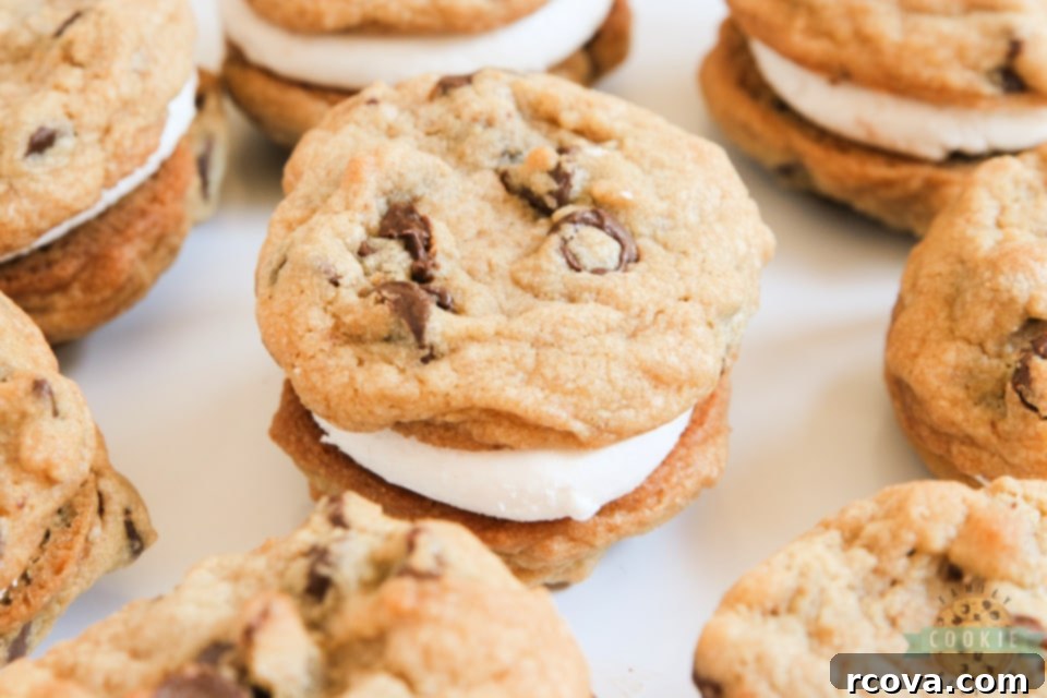 Gooey Smores Cookie Stacks 5 A stack of delicious S'mores Cookie Sandwiches on a cooling rack, ready to be enjoyed.